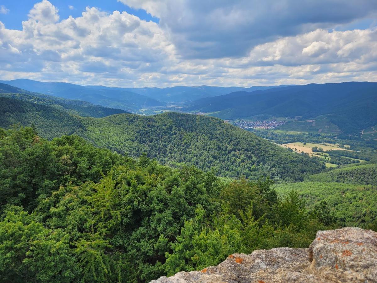 Appartement Chaleureux Au Coeur Des Hautes Vosges فينترون المظهر الخارجي الصورة