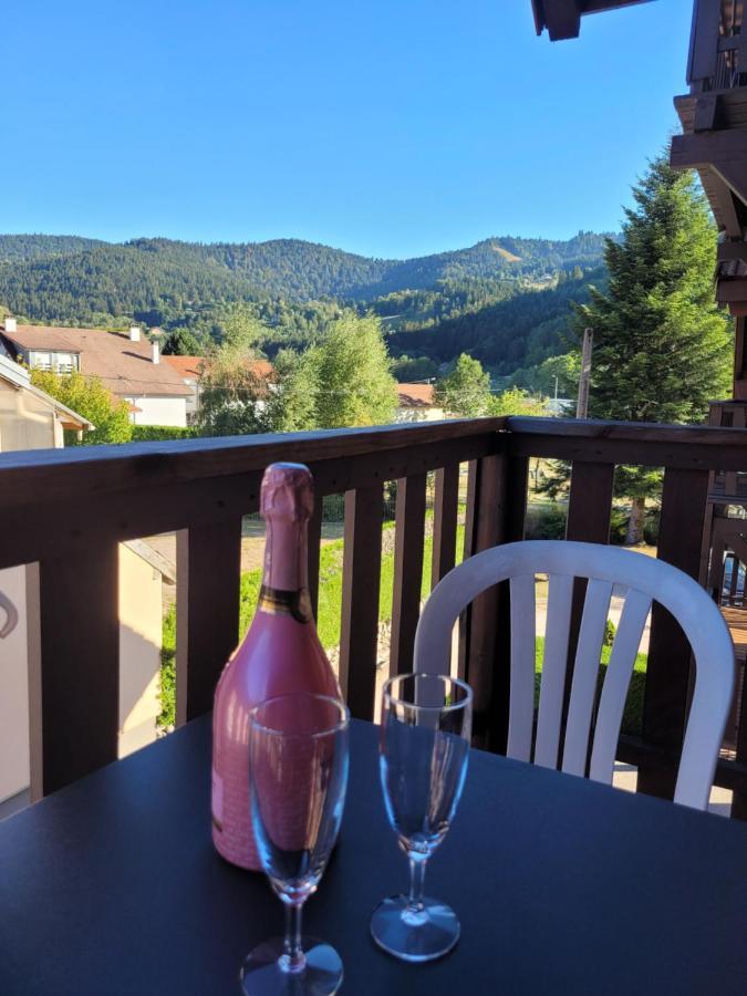 Appartement Chaleureux Au Coeur Des Hautes Vosges فينترون المظهر الخارجي الصورة