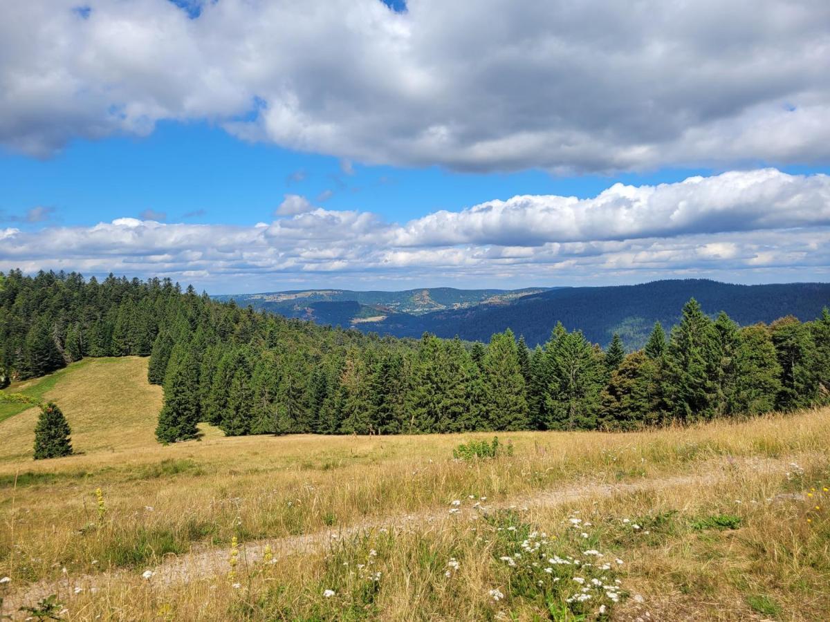 Appartement Chaleureux Au Coeur Des Hautes Vosges فينترون المظهر الخارجي الصورة