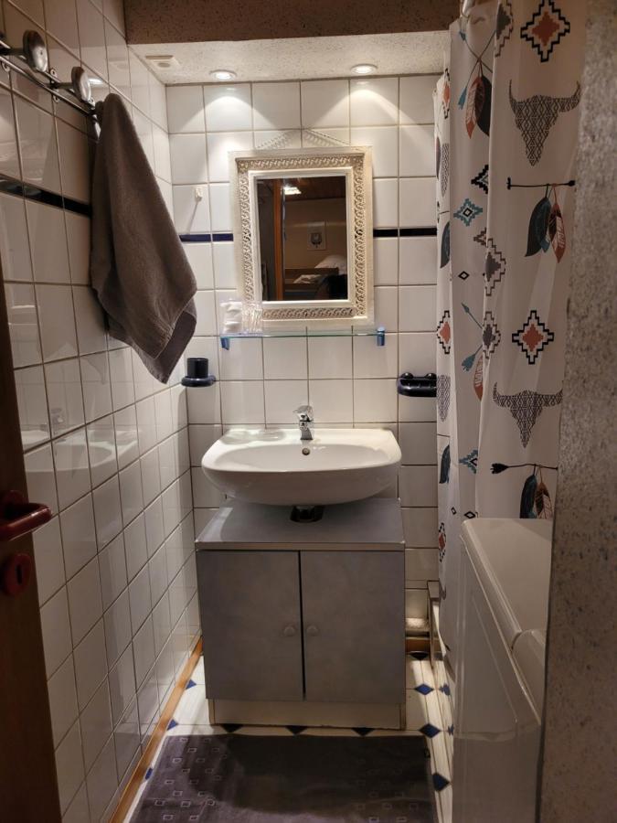 Appartement Chaleureux Au Coeur Des Hautes Vosges فينترون المظهر الخارجي الصورة