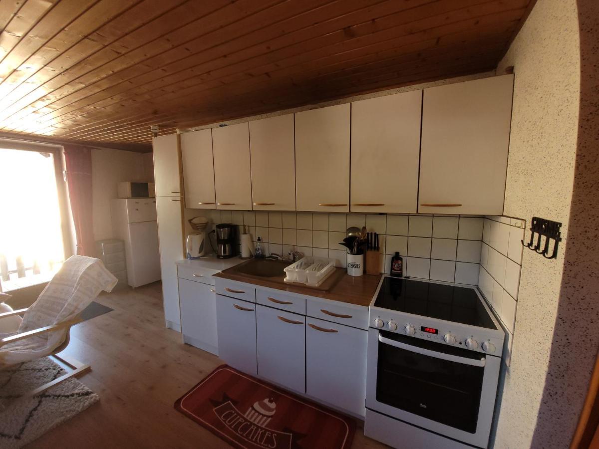 Appartement Chaleureux Au Coeur Des Hautes Vosges فينترون المظهر الخارجي الصورة