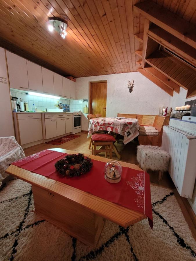 Appartement Chaleureux Au Coeur Des Hautes Vosges فينترون المظهر الخارجي الصورة