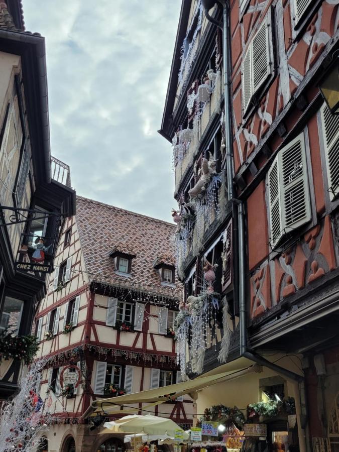 Appartement Chaleureux Au Coeur Des Hautes Vosges فينترون المظهر الخارجي الصورة