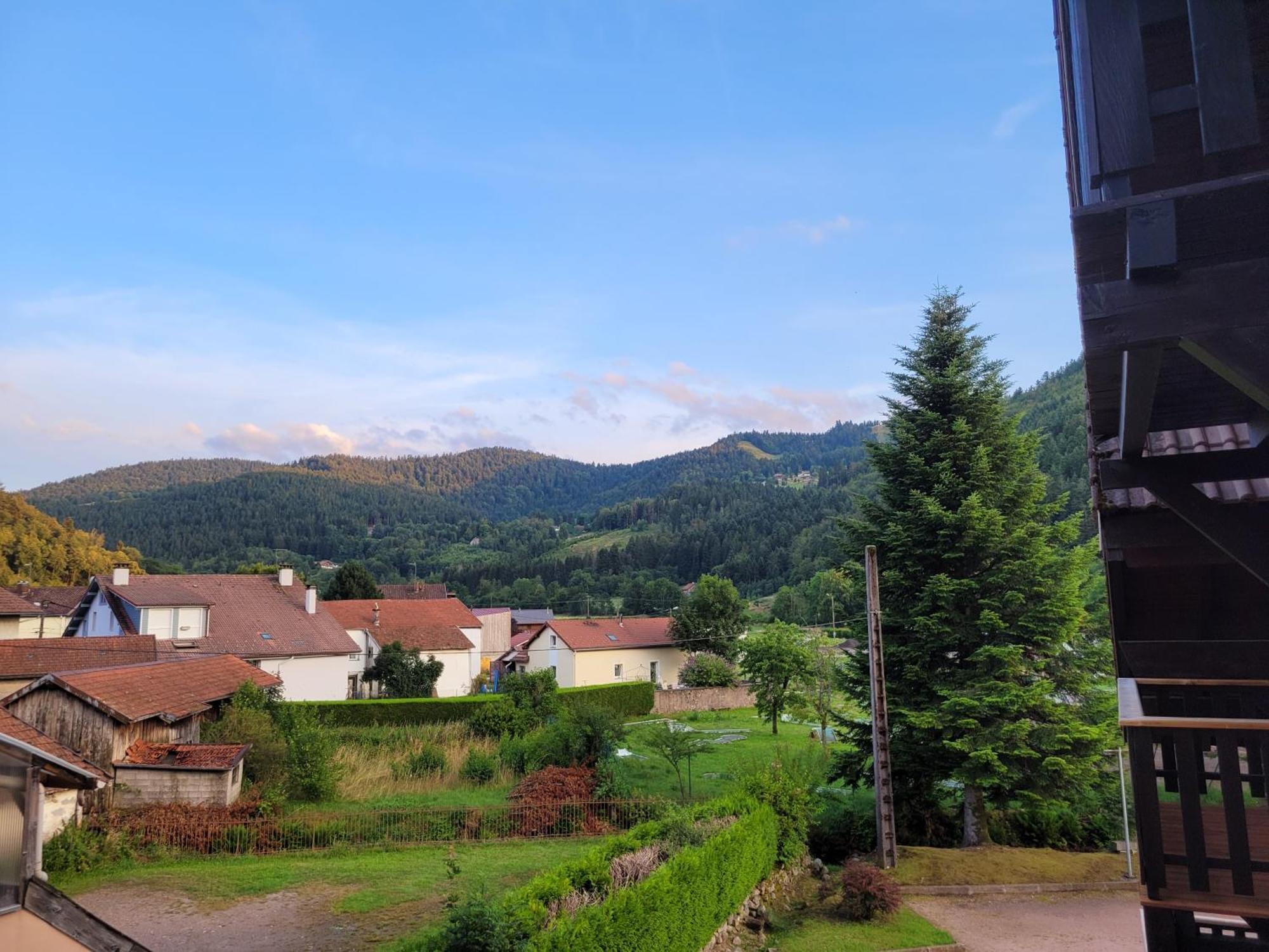 Appartement Chaleureux Au Coeur Des Hautes Vosges فينترون المظهر الخارجي الصورة