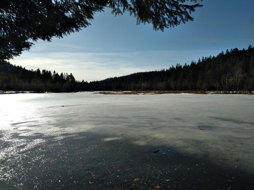 Appartement Chaleureux Au Coeur Des Hautes Vosges فينترون المظهر الخارجي الصورة
