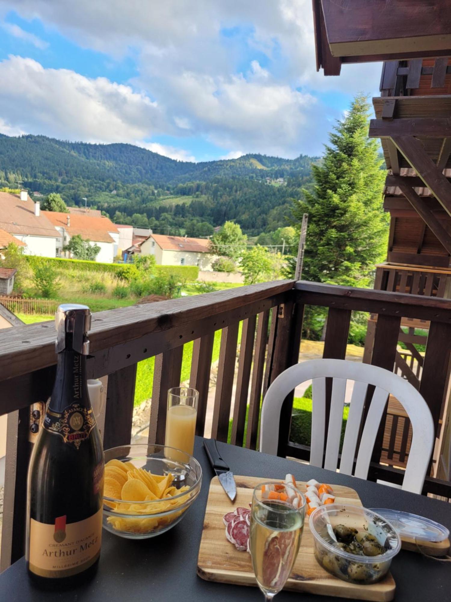 Appartement Chaleureux Au Coeur Des Hautes Vosges فينترون المظهر الخارجي الصورة